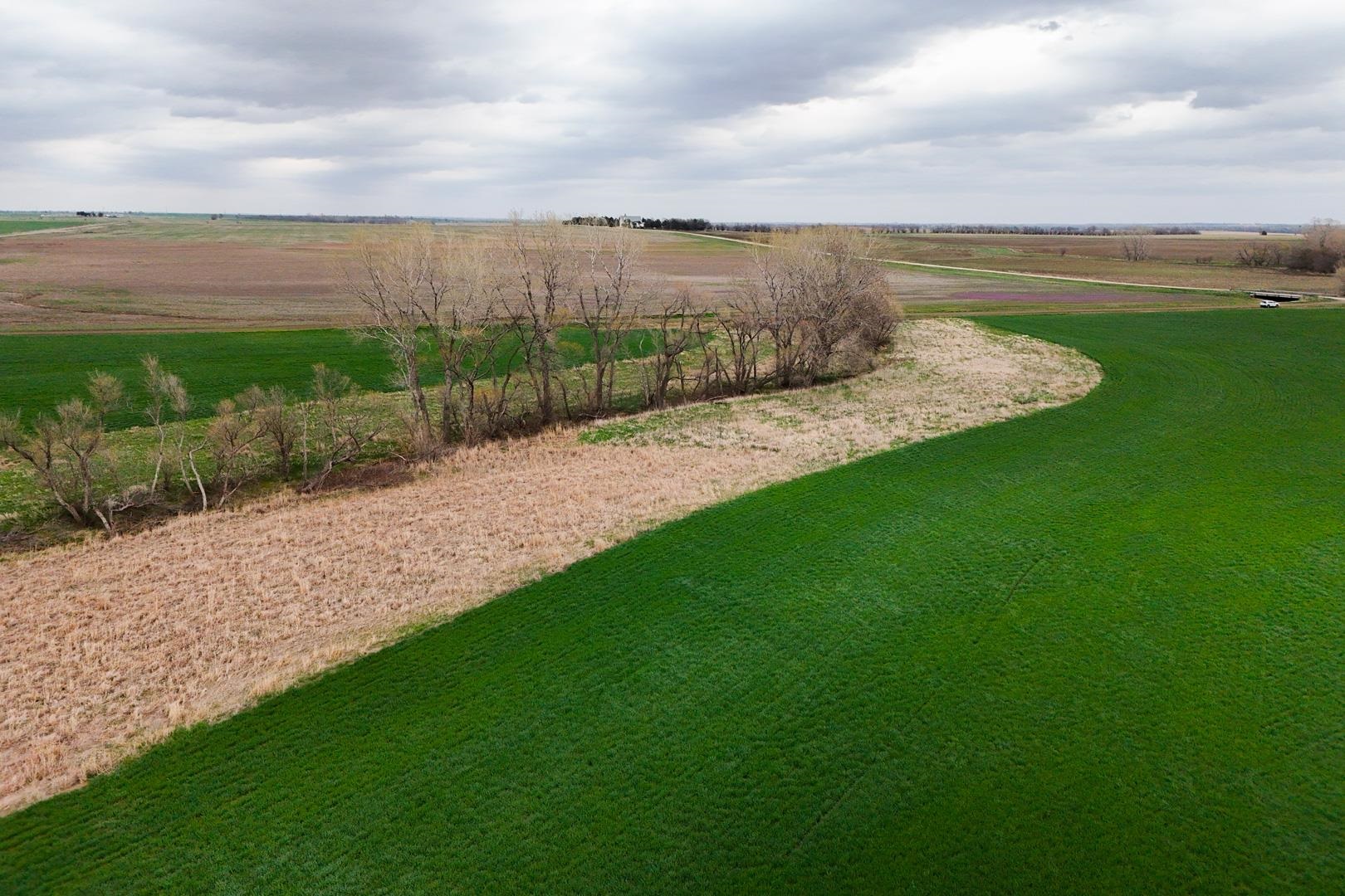155.90 +/- Acre Daisy Rd & 1300 Property Photo 9