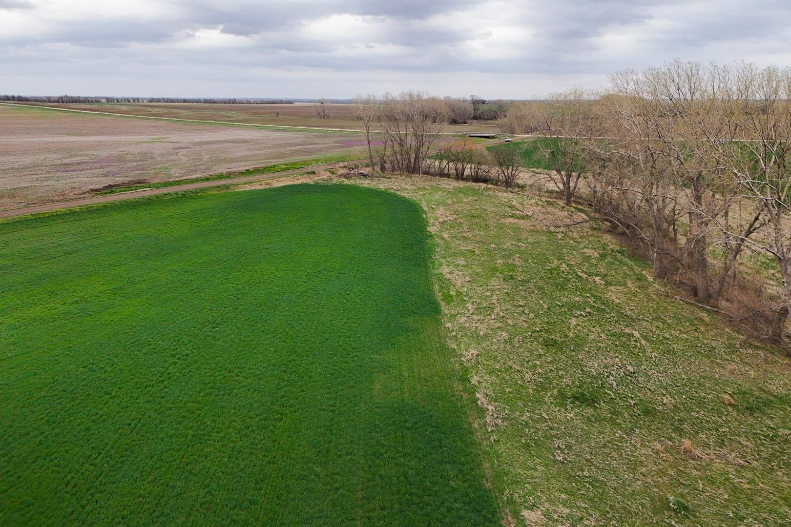 155.90 +/- Acre Daisy Rd & 1300 Property Photo 10