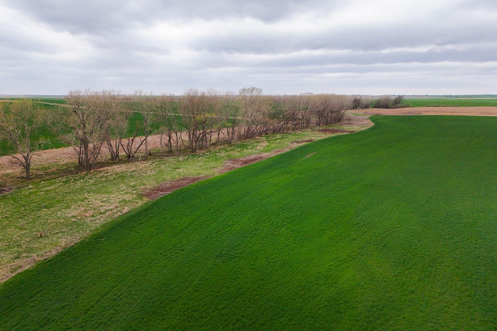 155.90 +/- Acre Daisy Rd & 1300 Property Photo 11