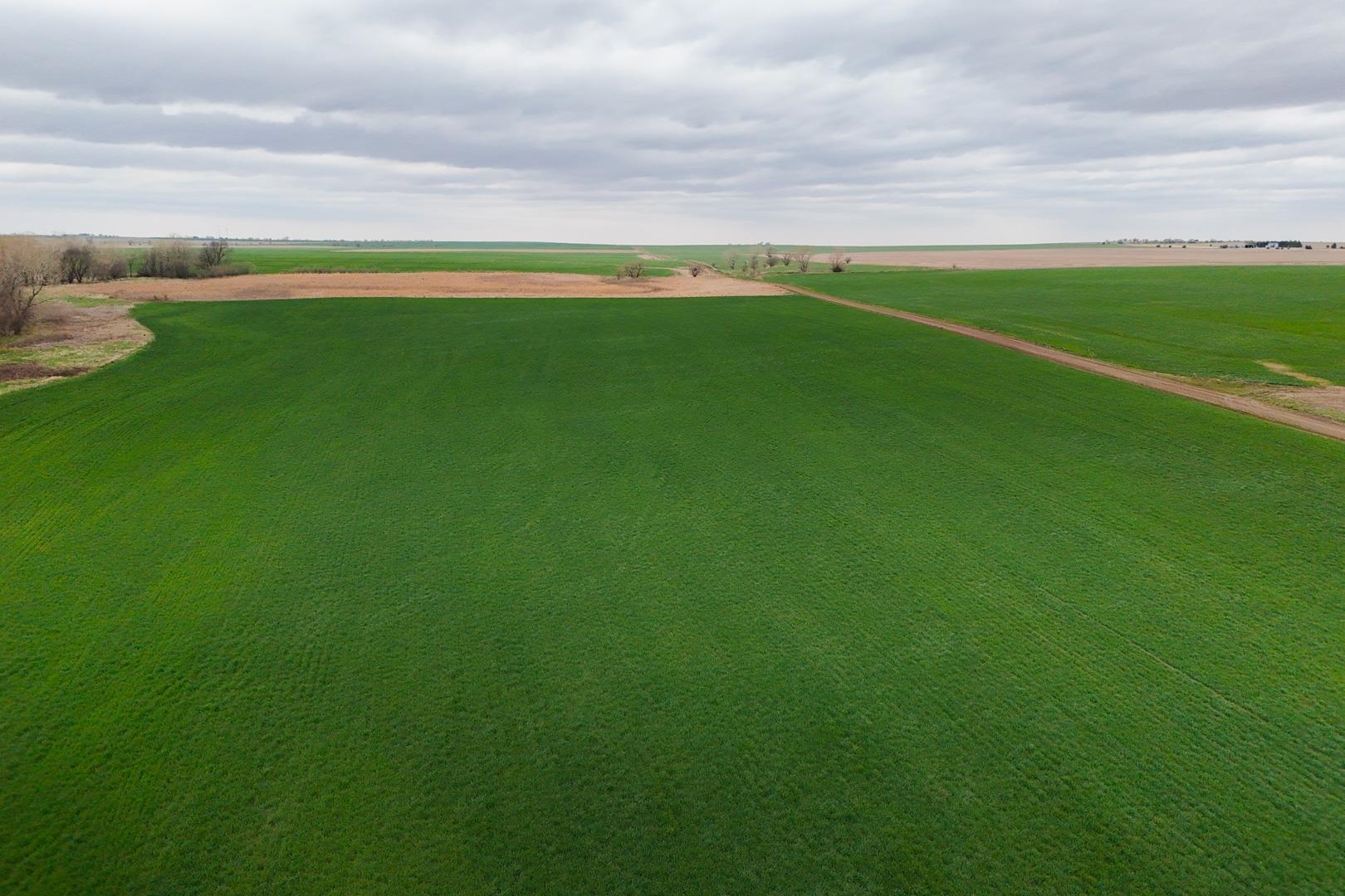155.90 +/- Acre Daisy Rd & 1300 Property Photo 12