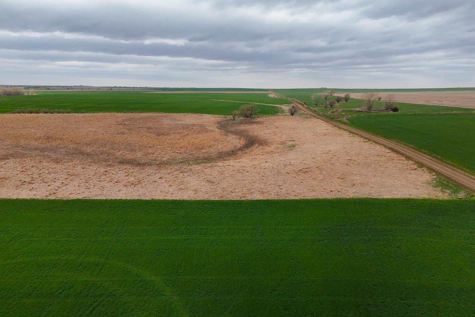 155.90 +/- Acre Daisy Rd & 1300 Property Photo 13