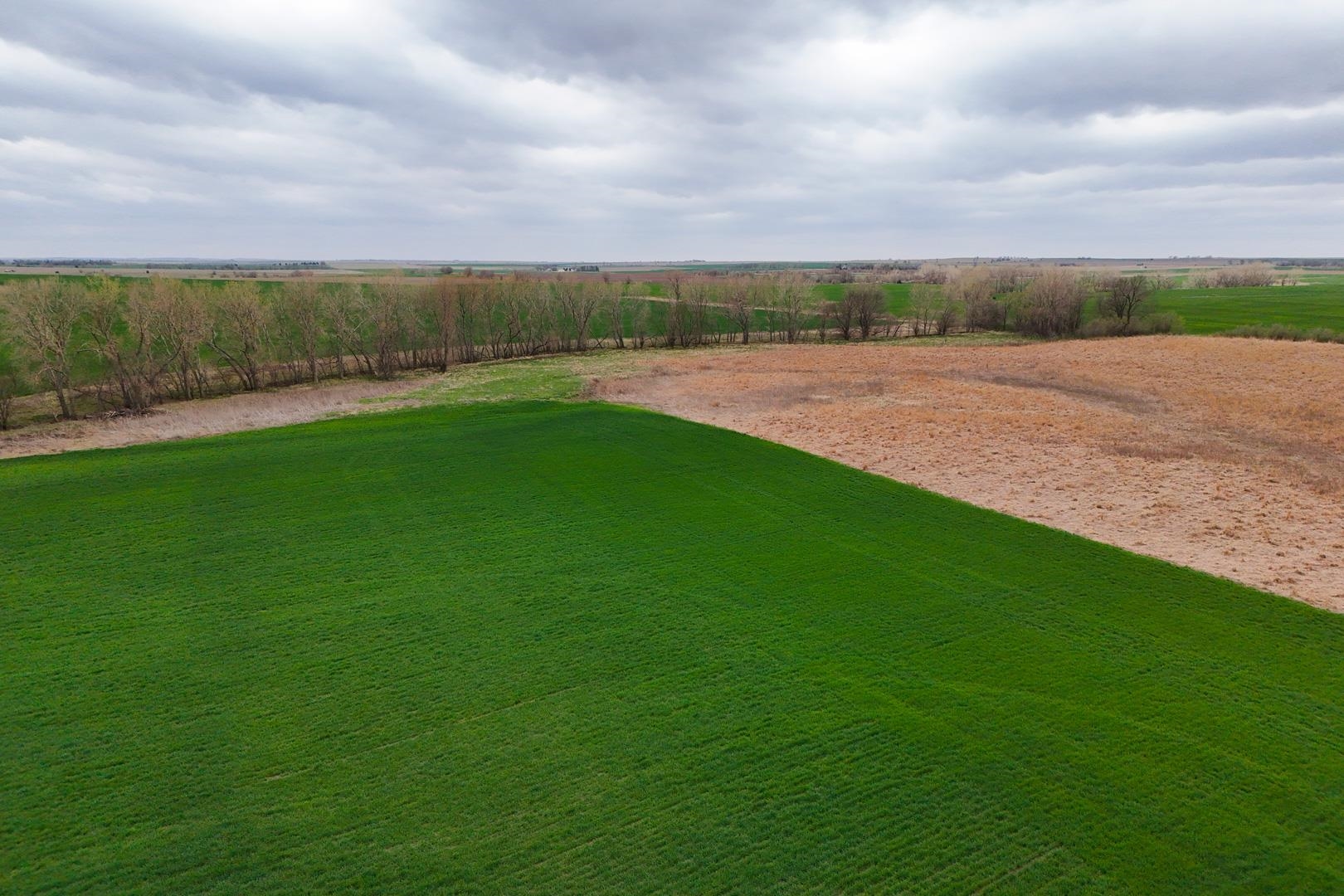 155.90 +/- Acre Daisy Rd & 1300 Property Photo 14