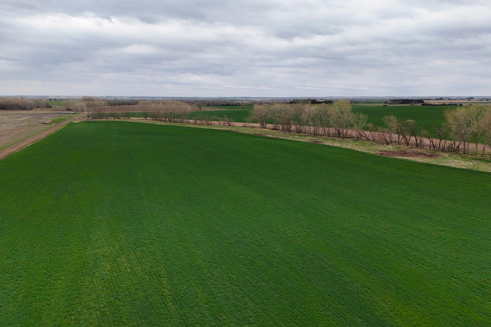 155.90 +/- Acre Daisy Rd & 1300 Property Photo 15
