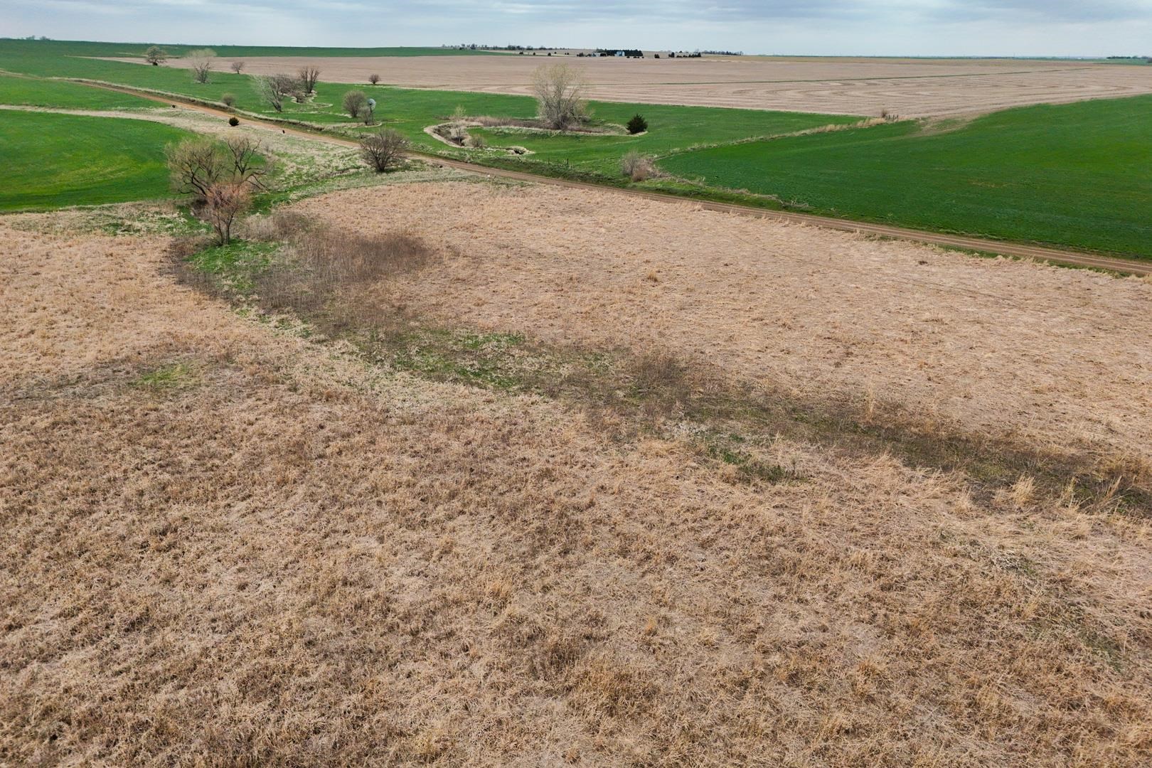 155.90 +/- Acre Daisy Rd & 1300 Property Photo 16