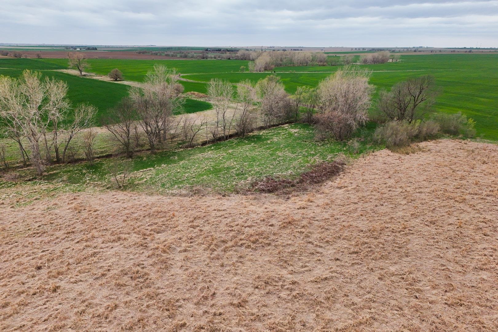 155.90 +/- Acre Daisy Rd & 1300 Property Photo 17