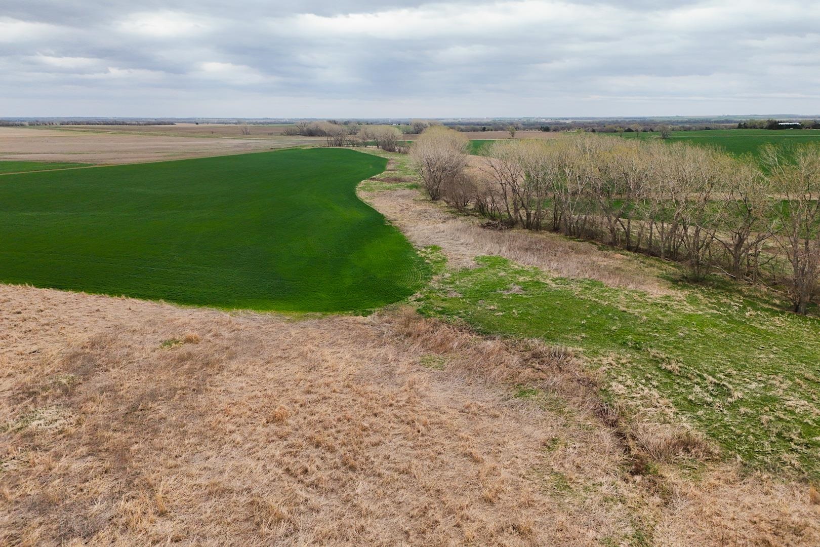 155.90 +/- Acre Daisy Rd & 1300 Property Photo 18