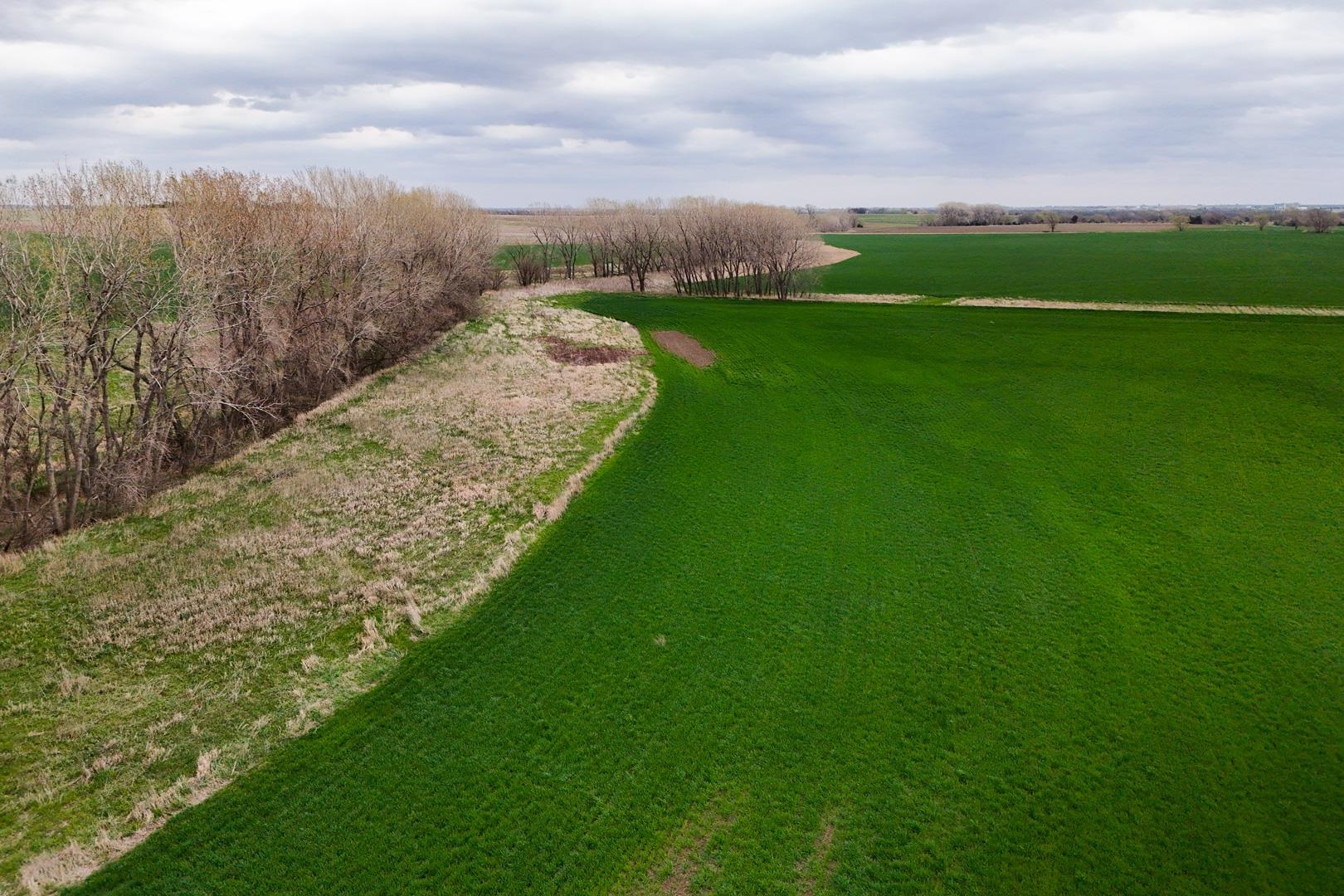 155.90 +/- Acre Daisy Rd & 1300 Property Photo 20