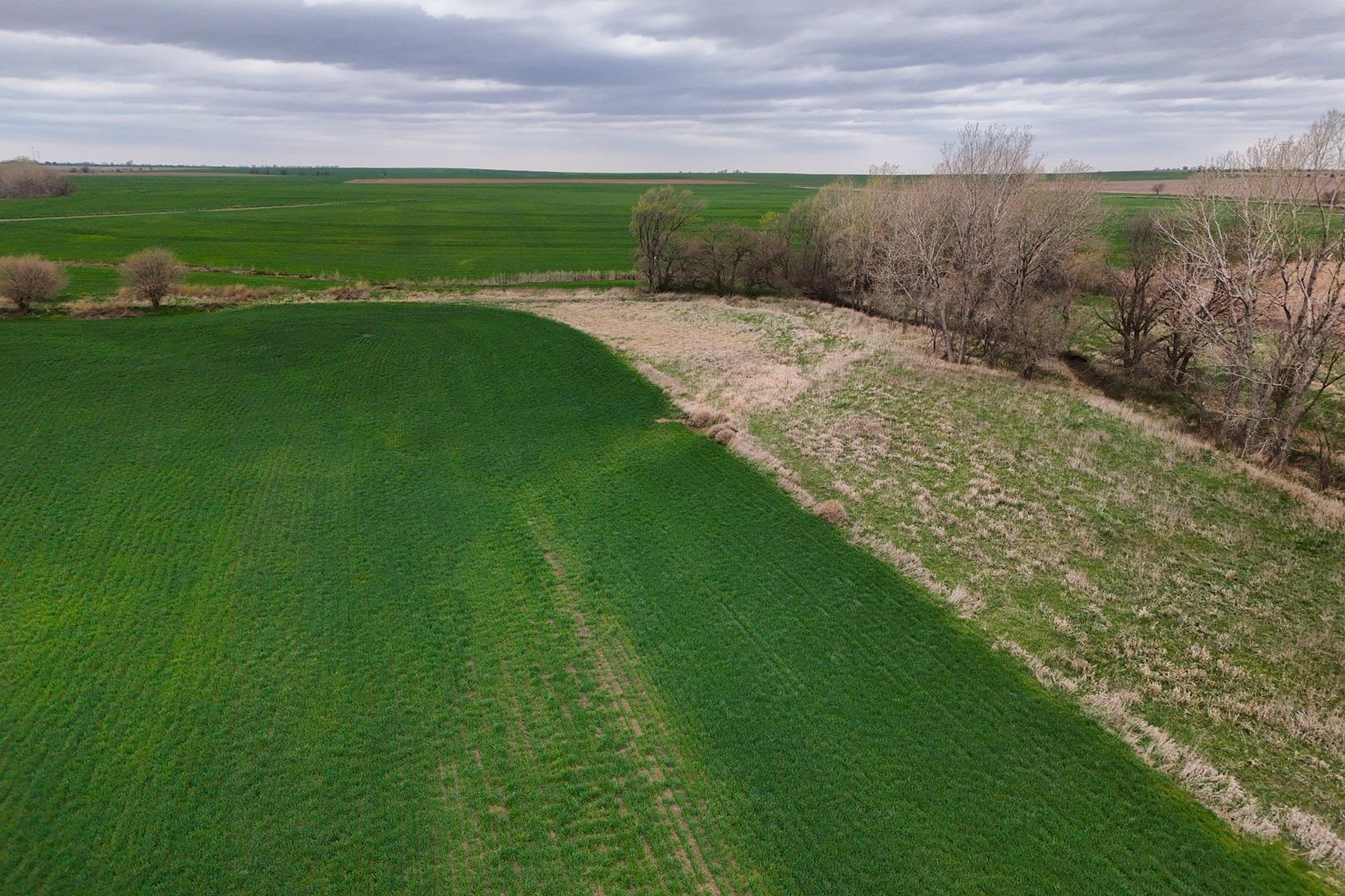155.90 +/- Acre Daisy Rd & 1300 Property Photo 21