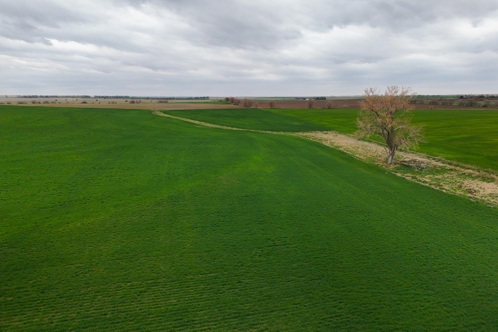 155.90 +/- Acre Daisy Rd & 1300 Property Photo 22