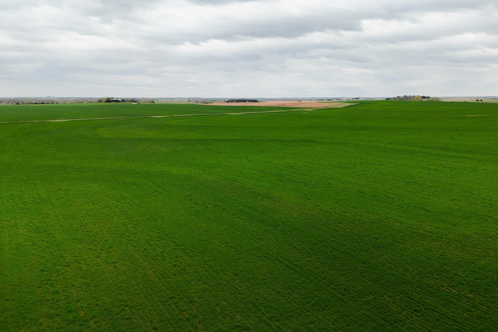 155.90 +/- Acre Daisy Rd & 1300 Property Photo 23
