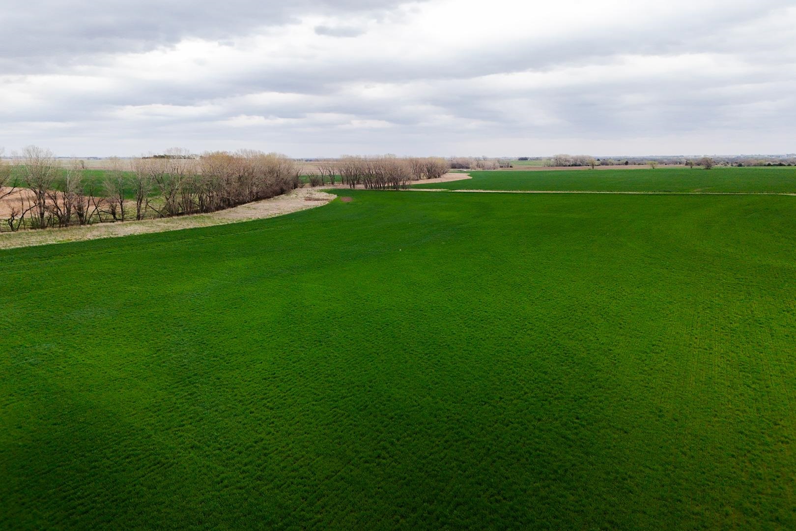 155.90 +/- Acre Daisy Rd & 1300 Property Photo 24
