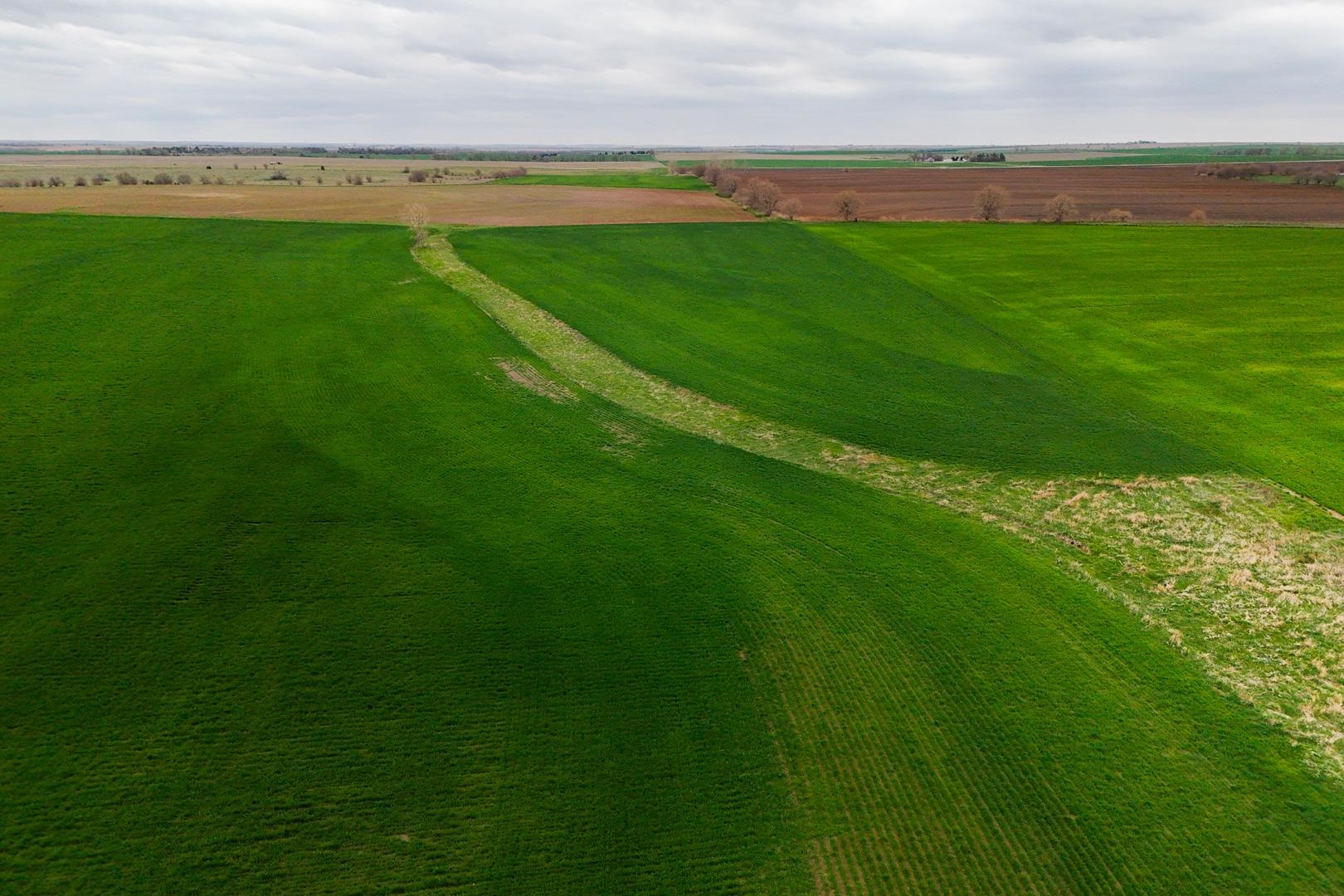155.90 +/- Acre Daisy Rd & 1300 Property Photo 25