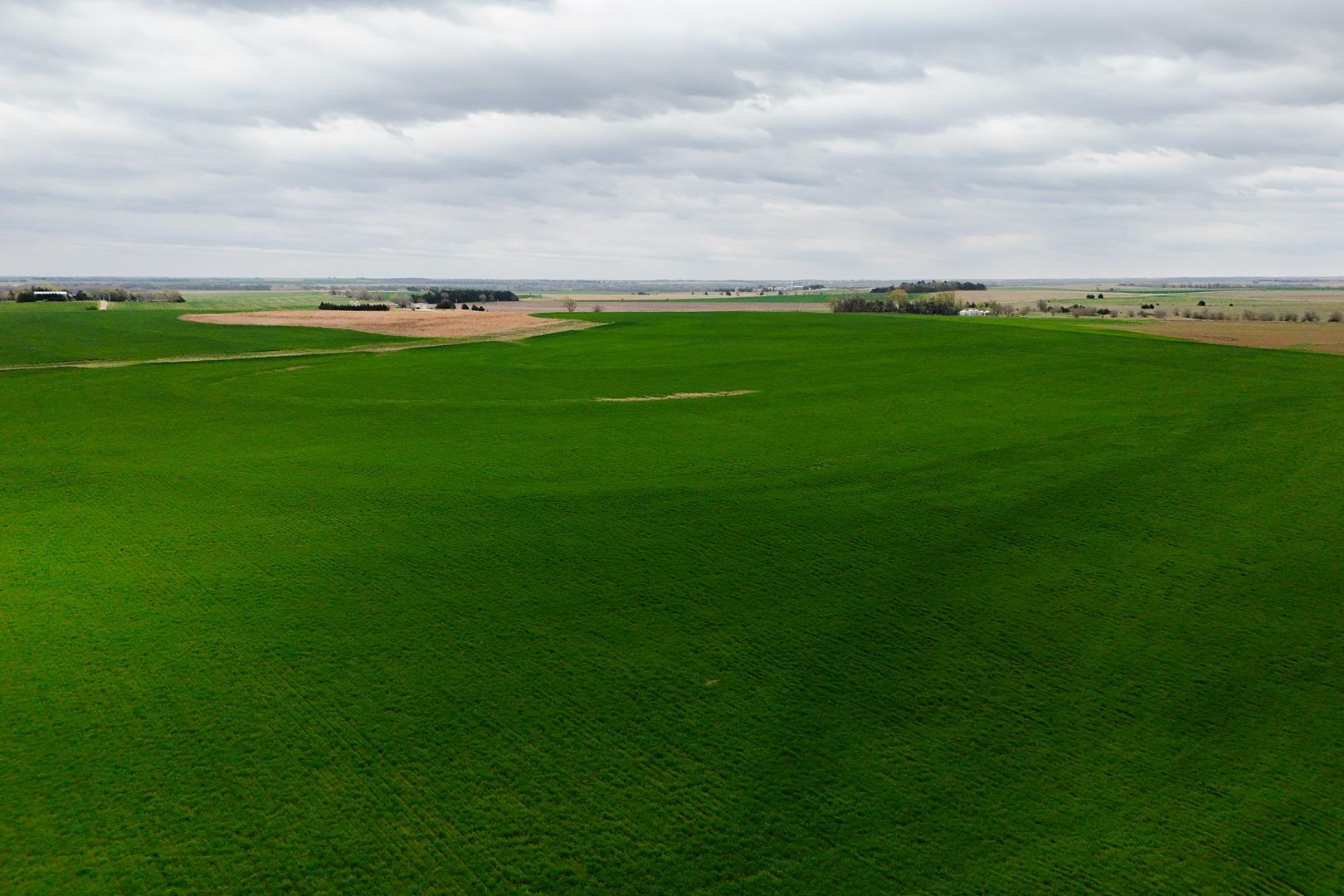 155.90 +/- Acre Daisy Rd & 1300 Property Photo 26