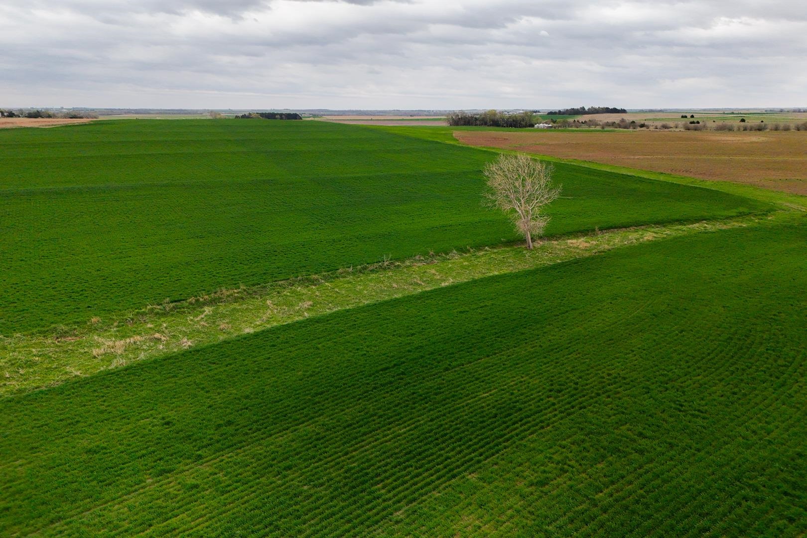 155.90 +/- Acre Daisy Rd & 1300 Property Photo 27