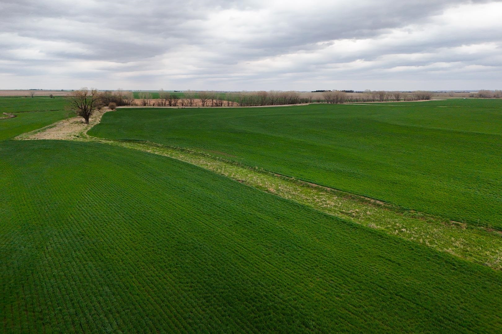 155.90 +/- Acre Daisy Rd & 1300 Property Photo 28