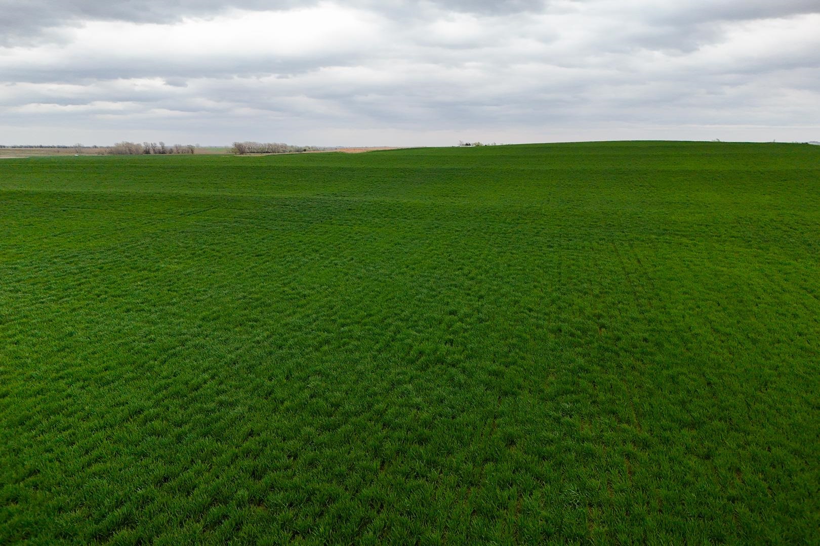155.90 +/- Acre Daisy Rd & 1300 Property Photo 29