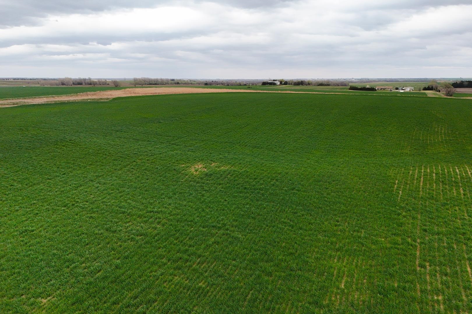 155.90 +/- Acre Daisy Rd & 1300 Property Photo 31