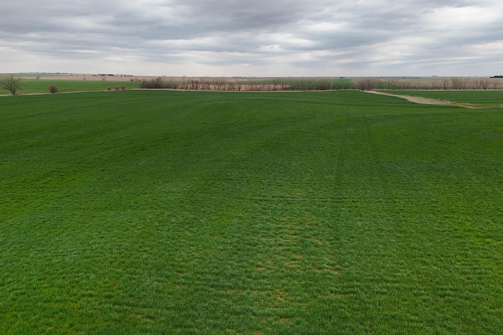 155.90 +/- Acre Daisy Rd & 1300 Property Photo 32