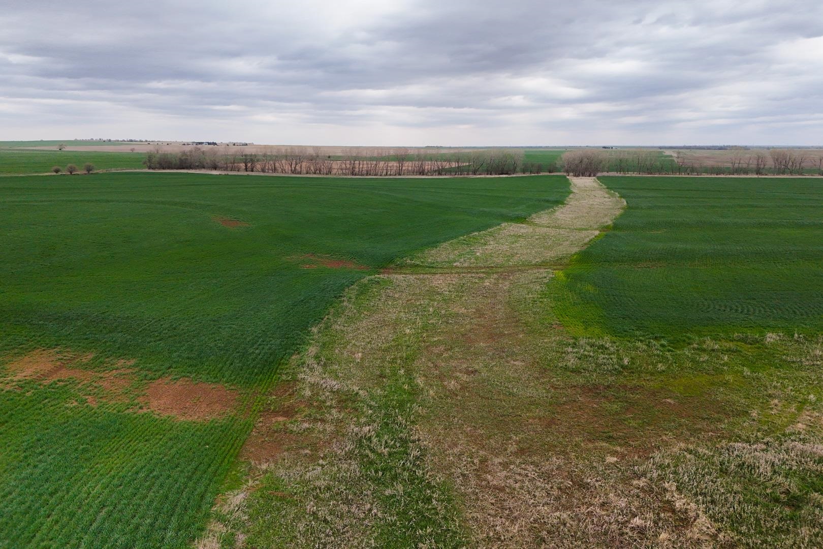 155.90 +/- Acre Daisy Rd & 1300 Property Photo 33