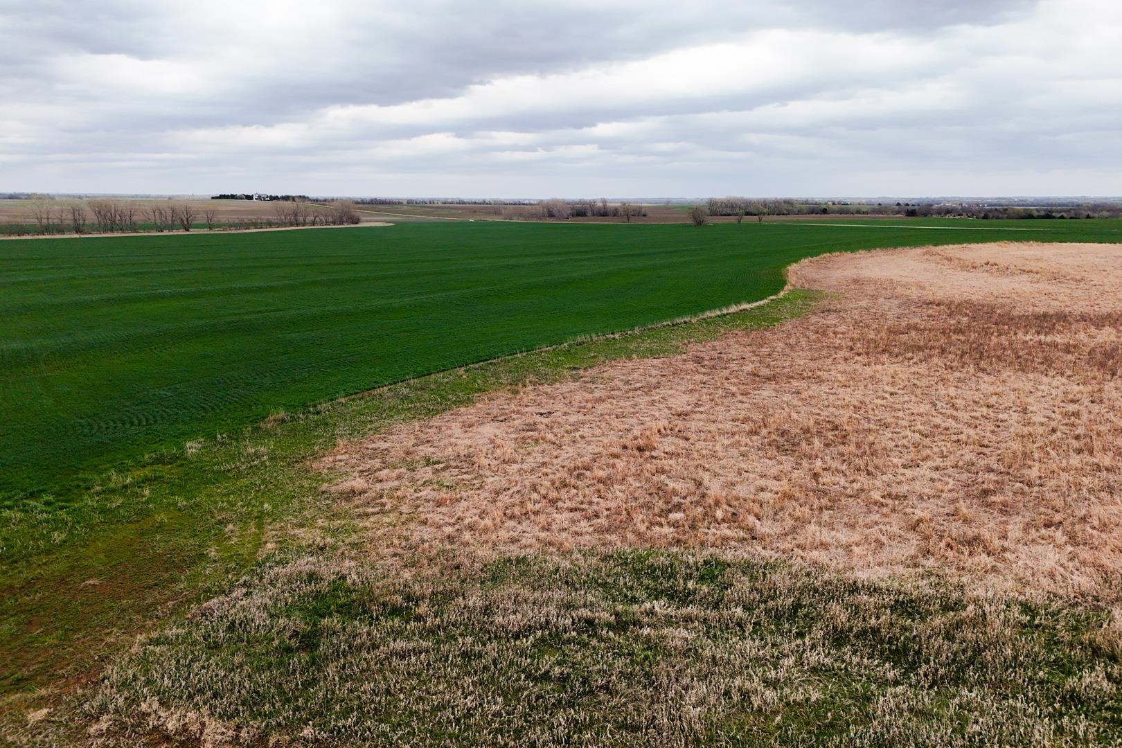 155.90 +/- Acre Daisy Rd & 1300 Property Photo 34