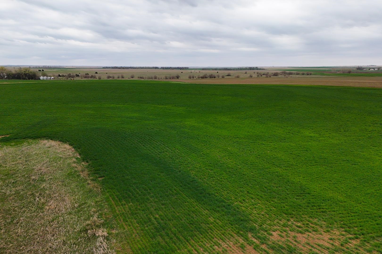 155.90 +/- Acre Daisy Rd & 1300 Property Photo 35