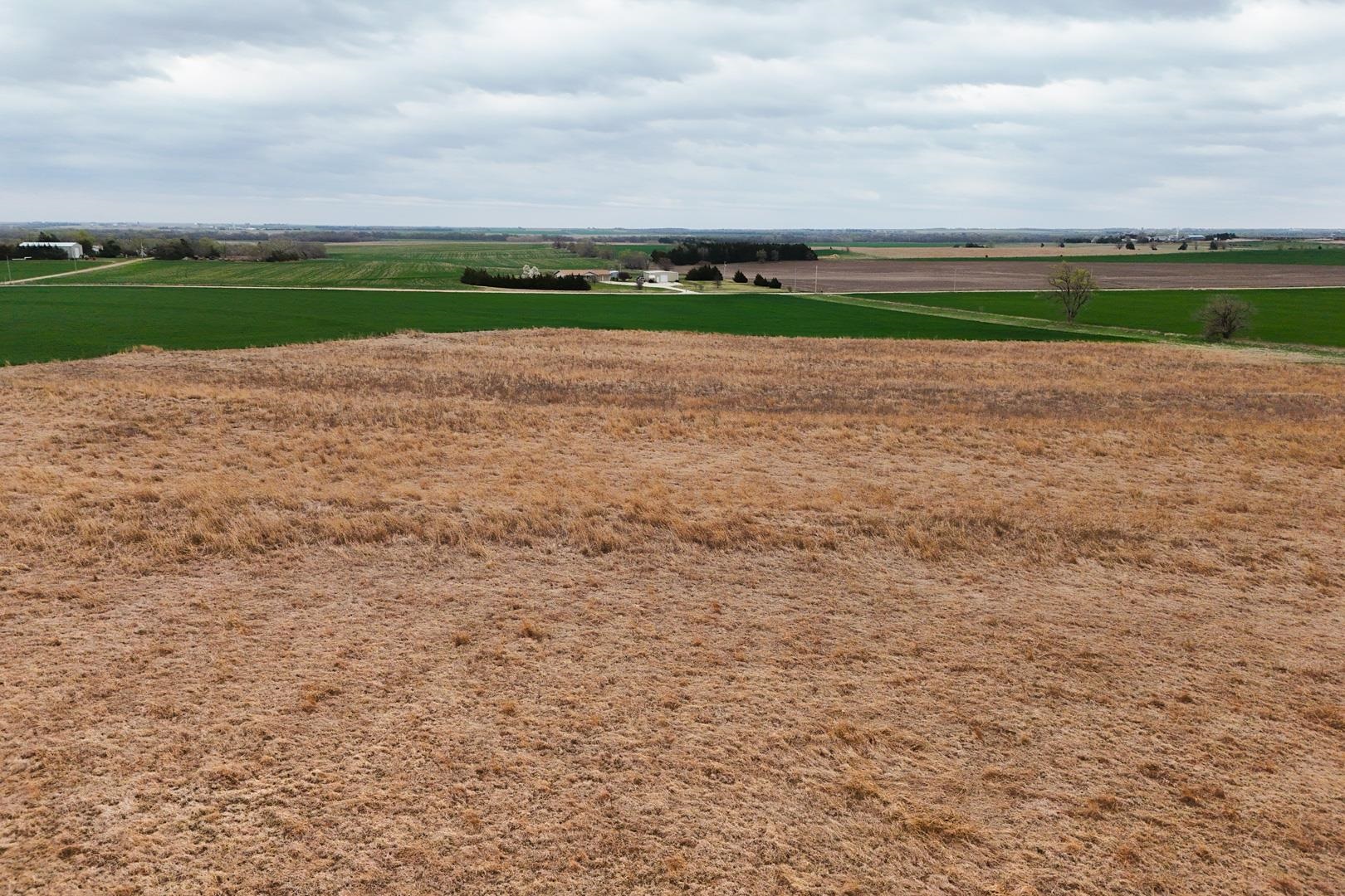 155.90 +/- Acre Daisy Rd & 1300 Property Photo 36
