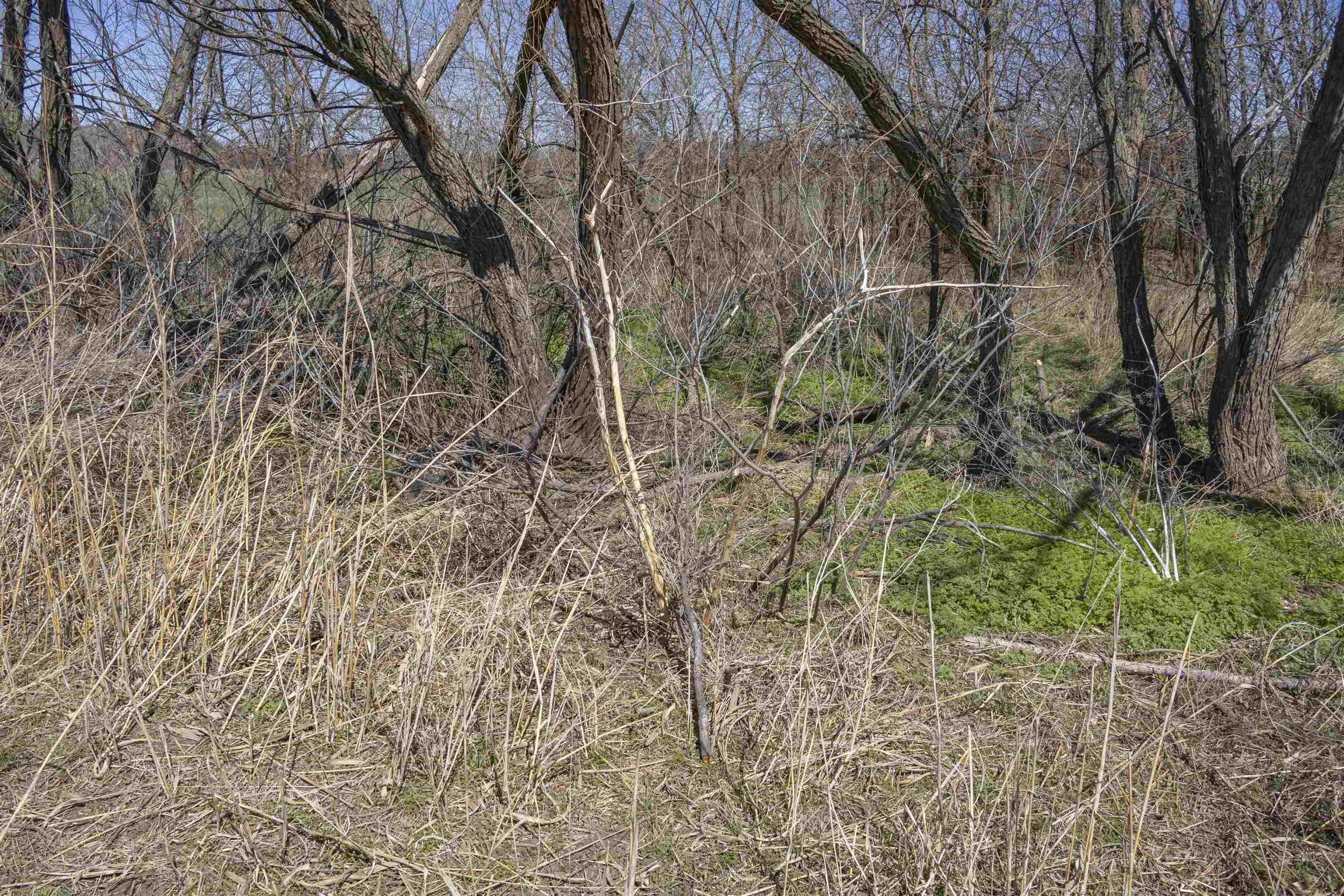 00000 S Meridian Rd Property Photo 26