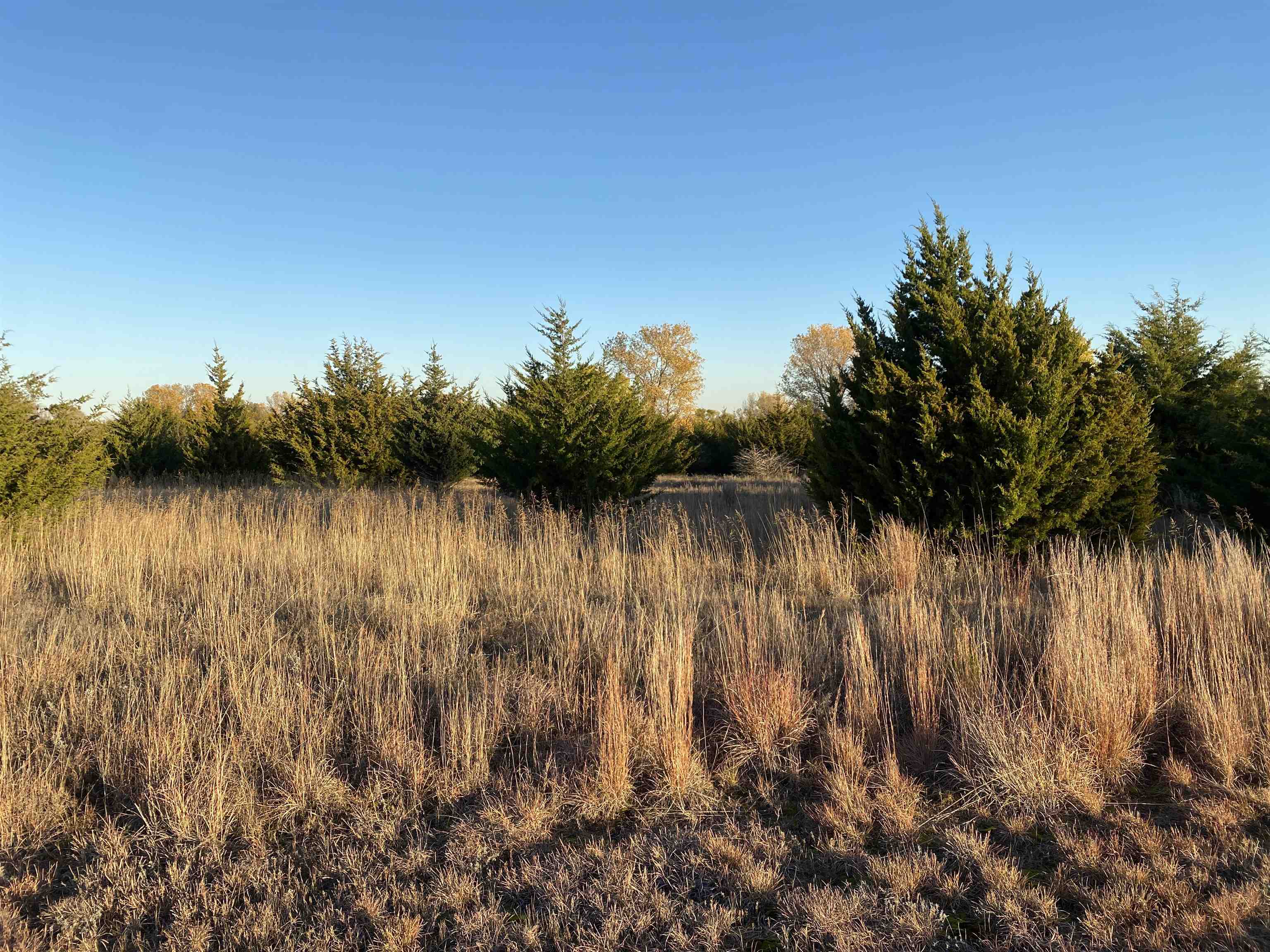1442 W Ashleigh Ln. Property Photo 6