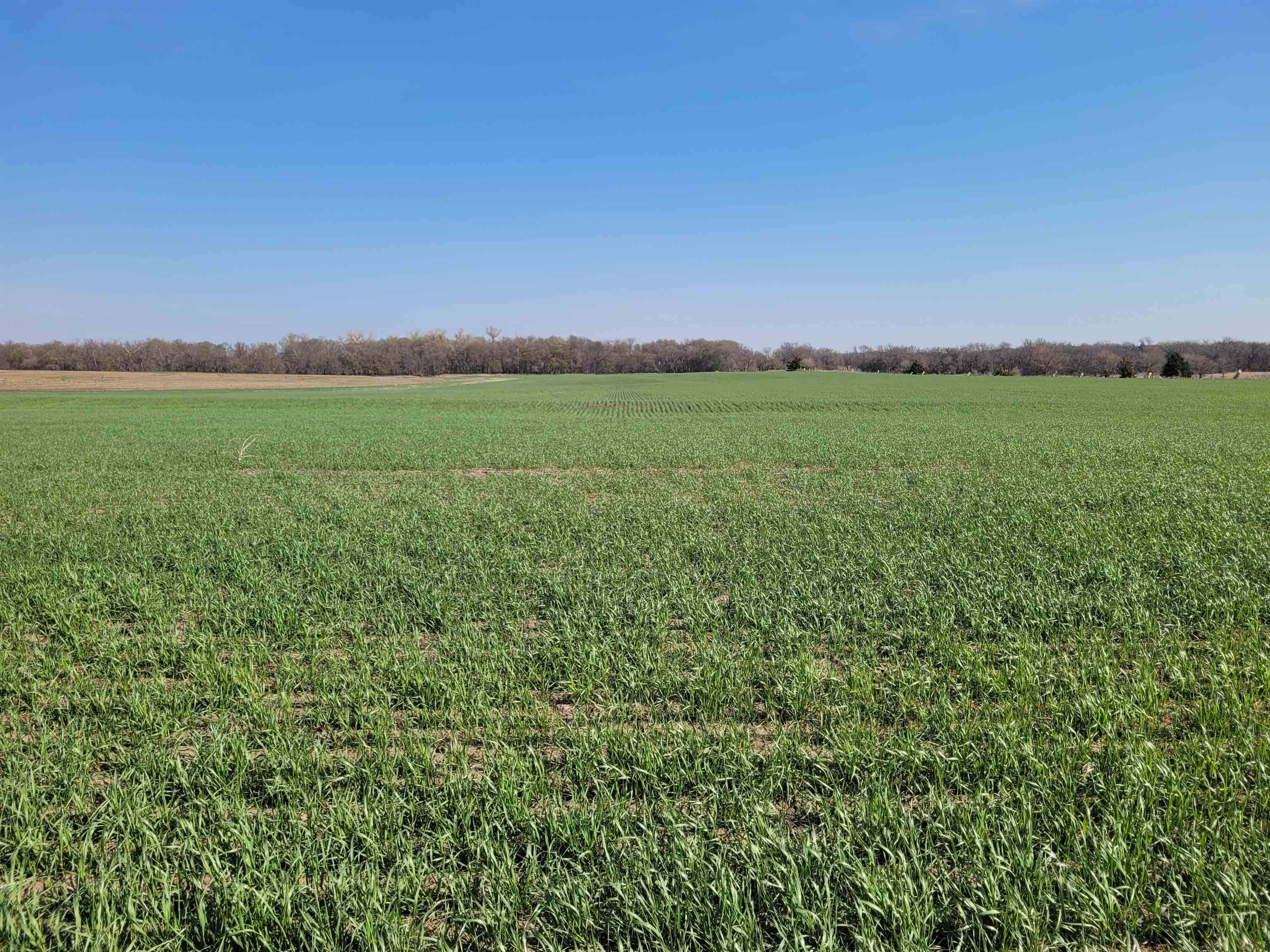 0000 I Road Property Photo 2