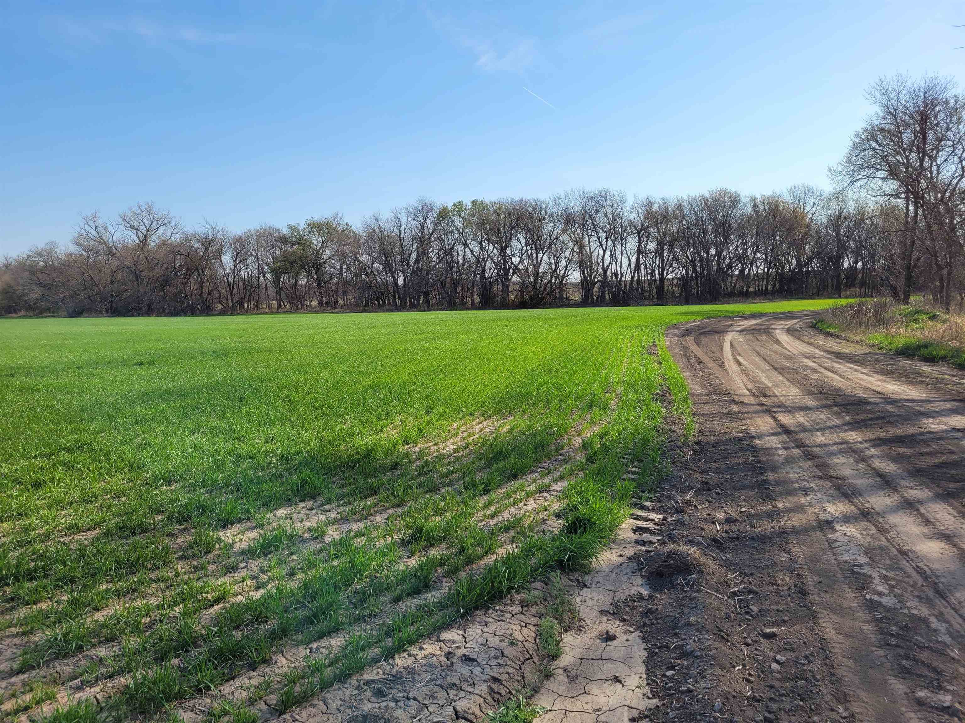 0000 I Road Property Photo 8