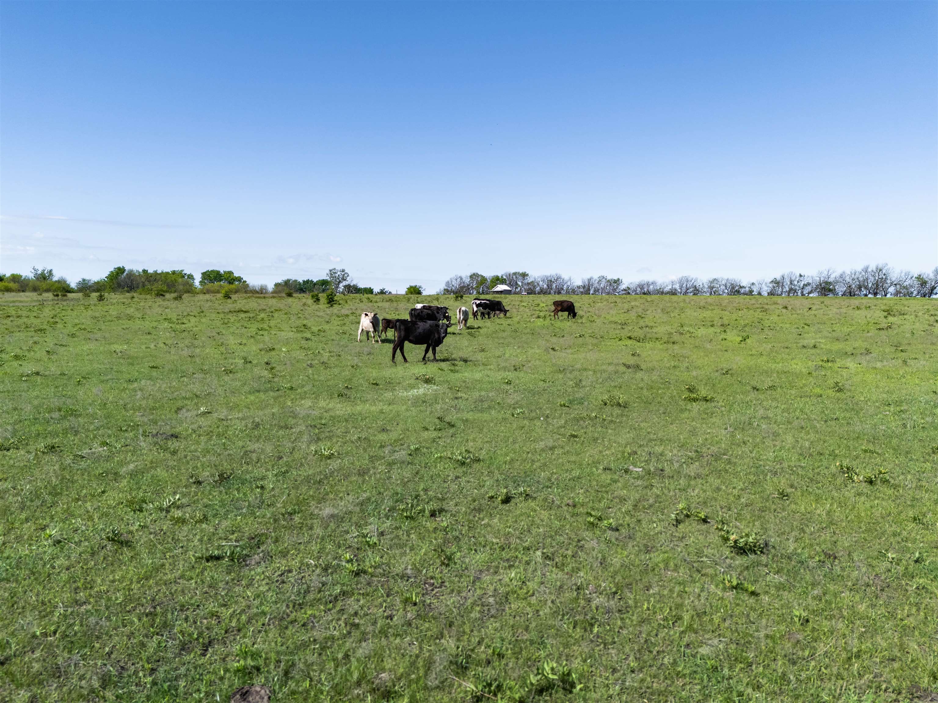 0000 M Road Property Photo 18