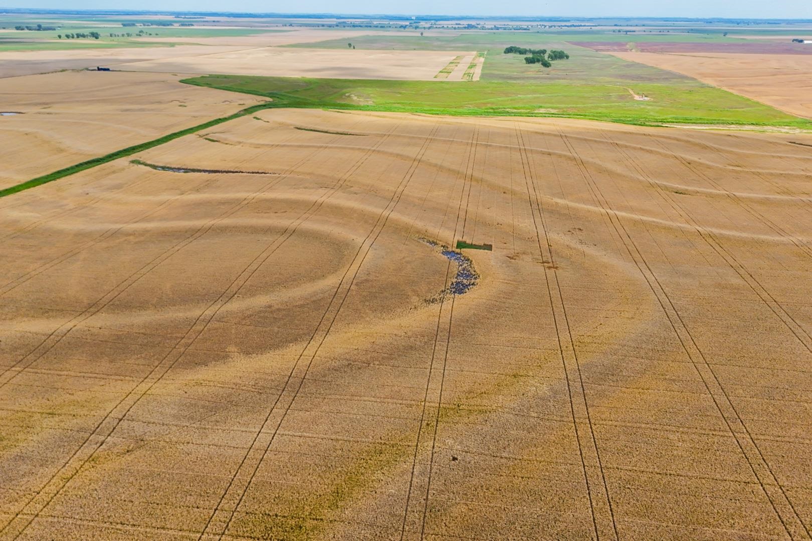 149+/- Acres Se Tri City Rd Property Photo 7