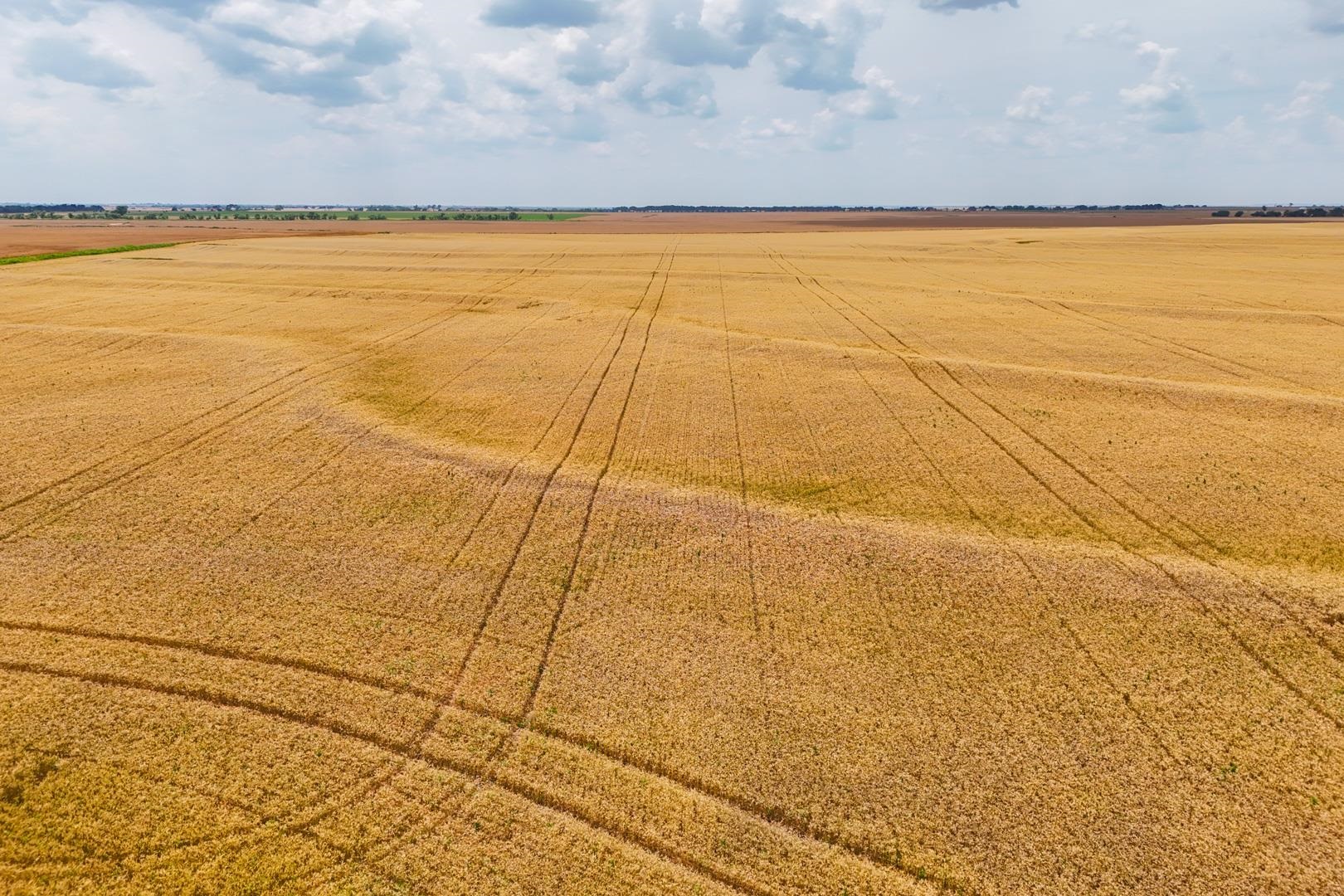 149+/- Acres Se Tri City Rd Property Photo 21