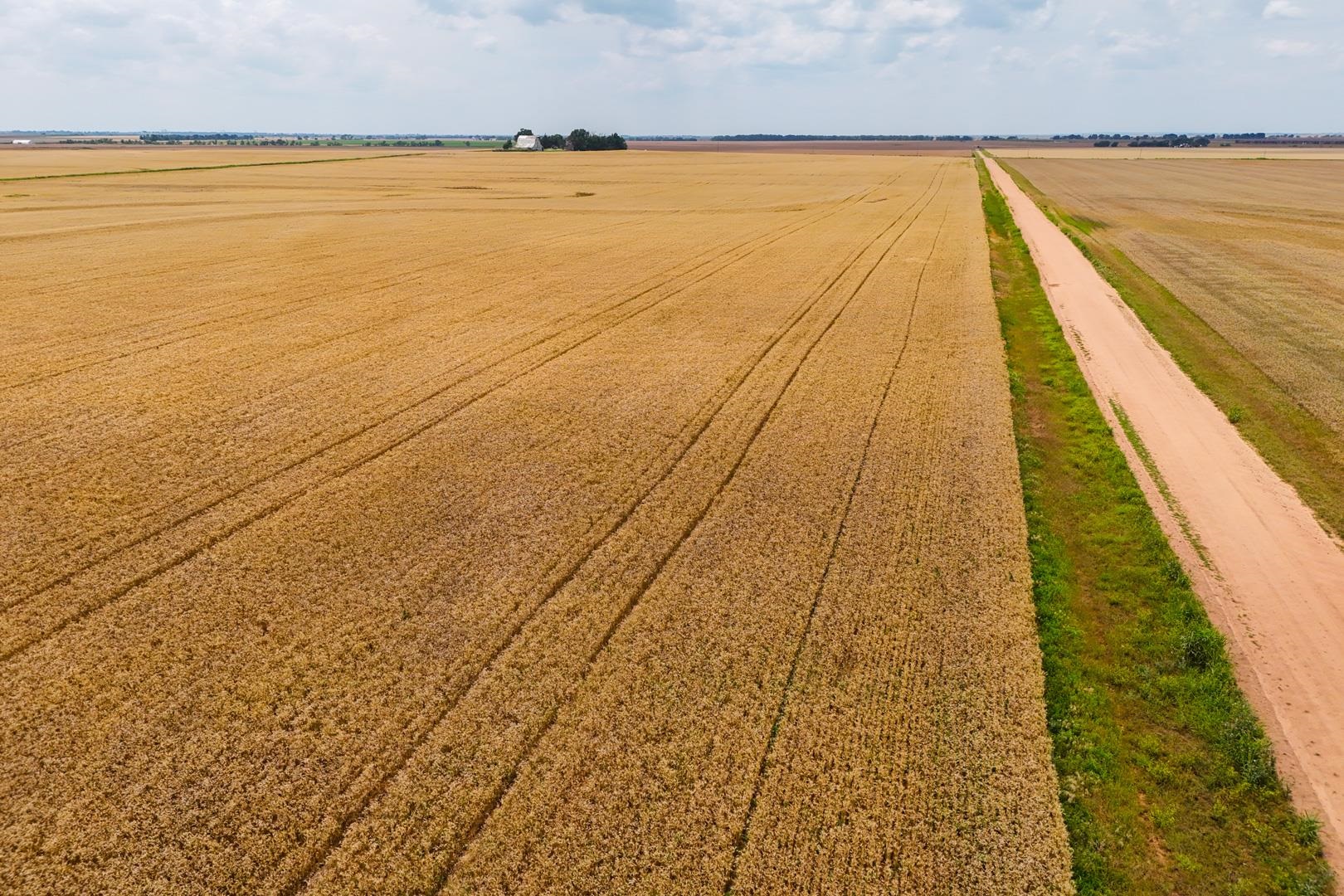 149+/- Acres Se Tri City Rd Property Photo 35