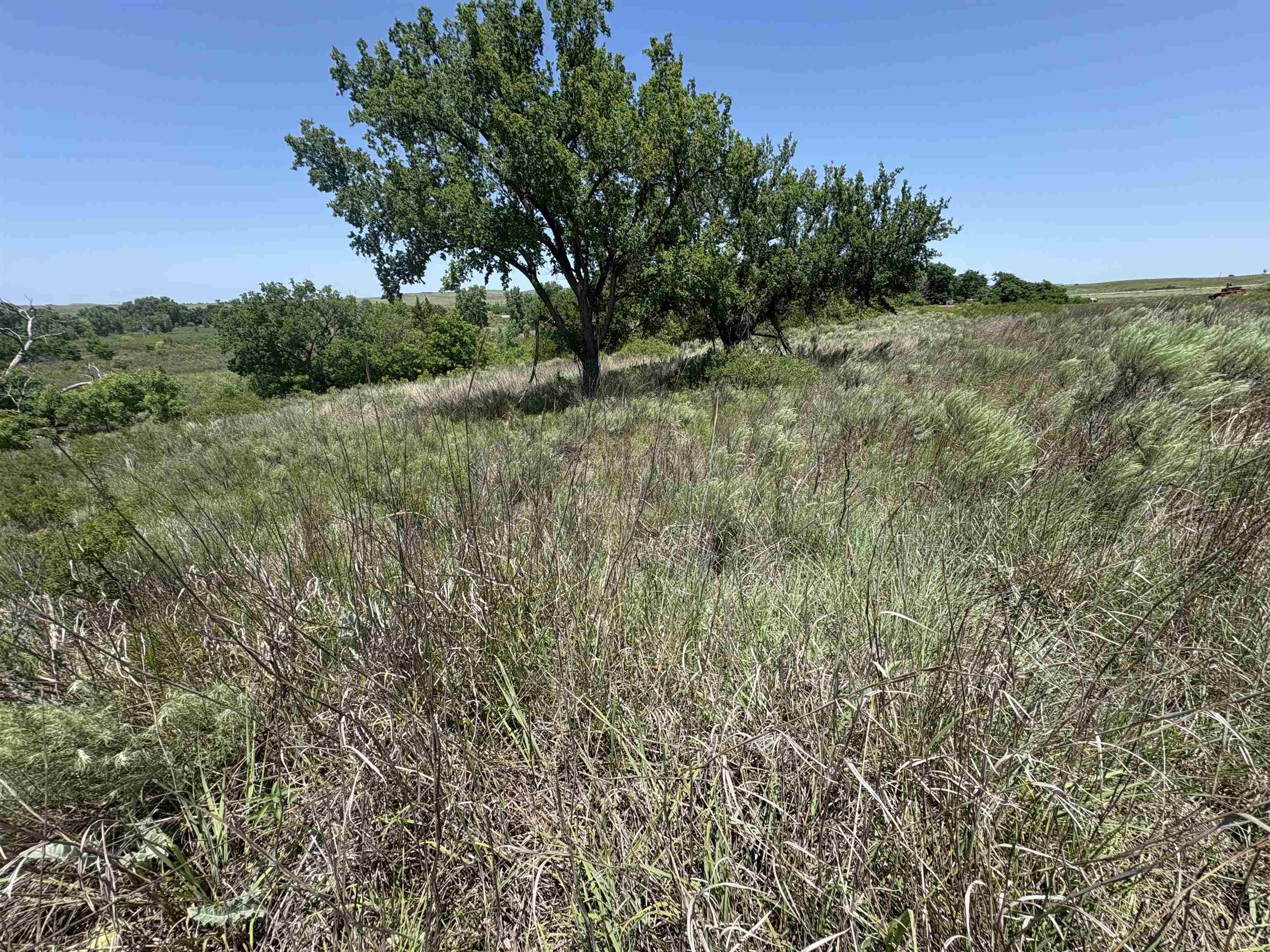 12542 Latimer Rd Property Photo 1