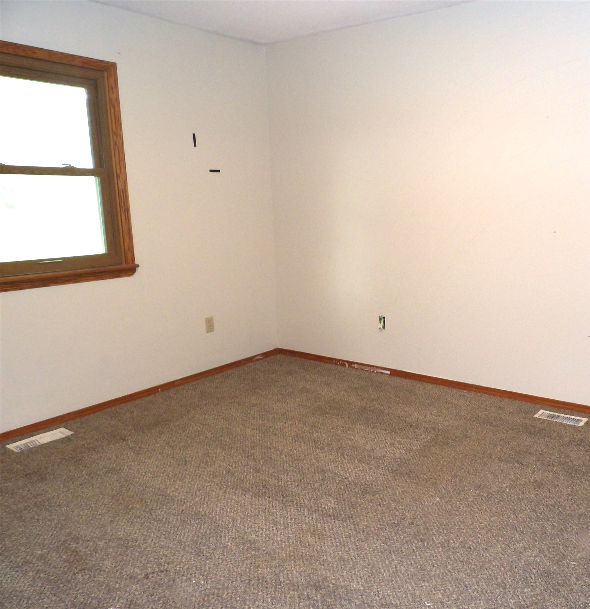 144 Doyle Drive Property Photo 18