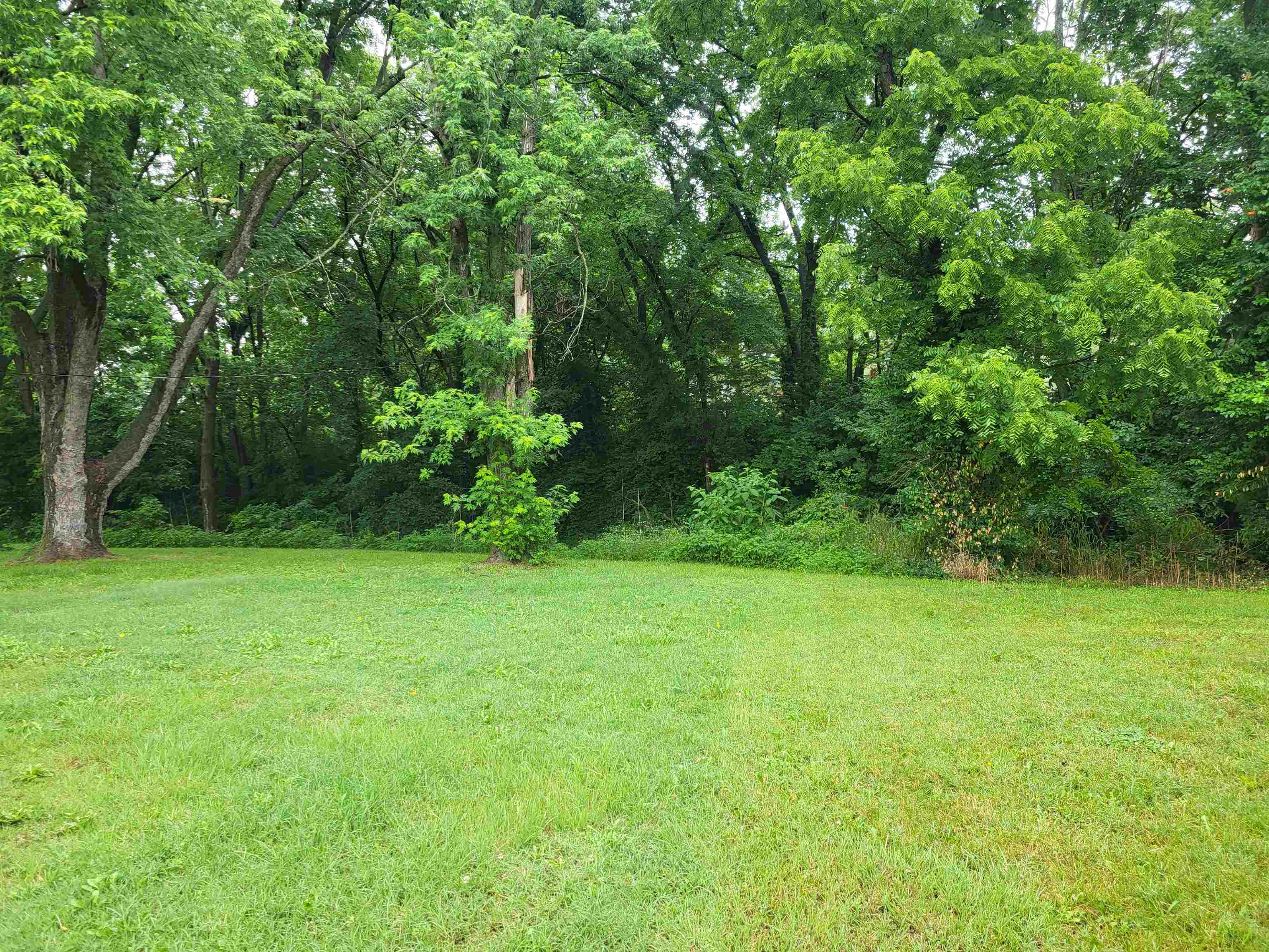 112 N Elm St Property Photo 13