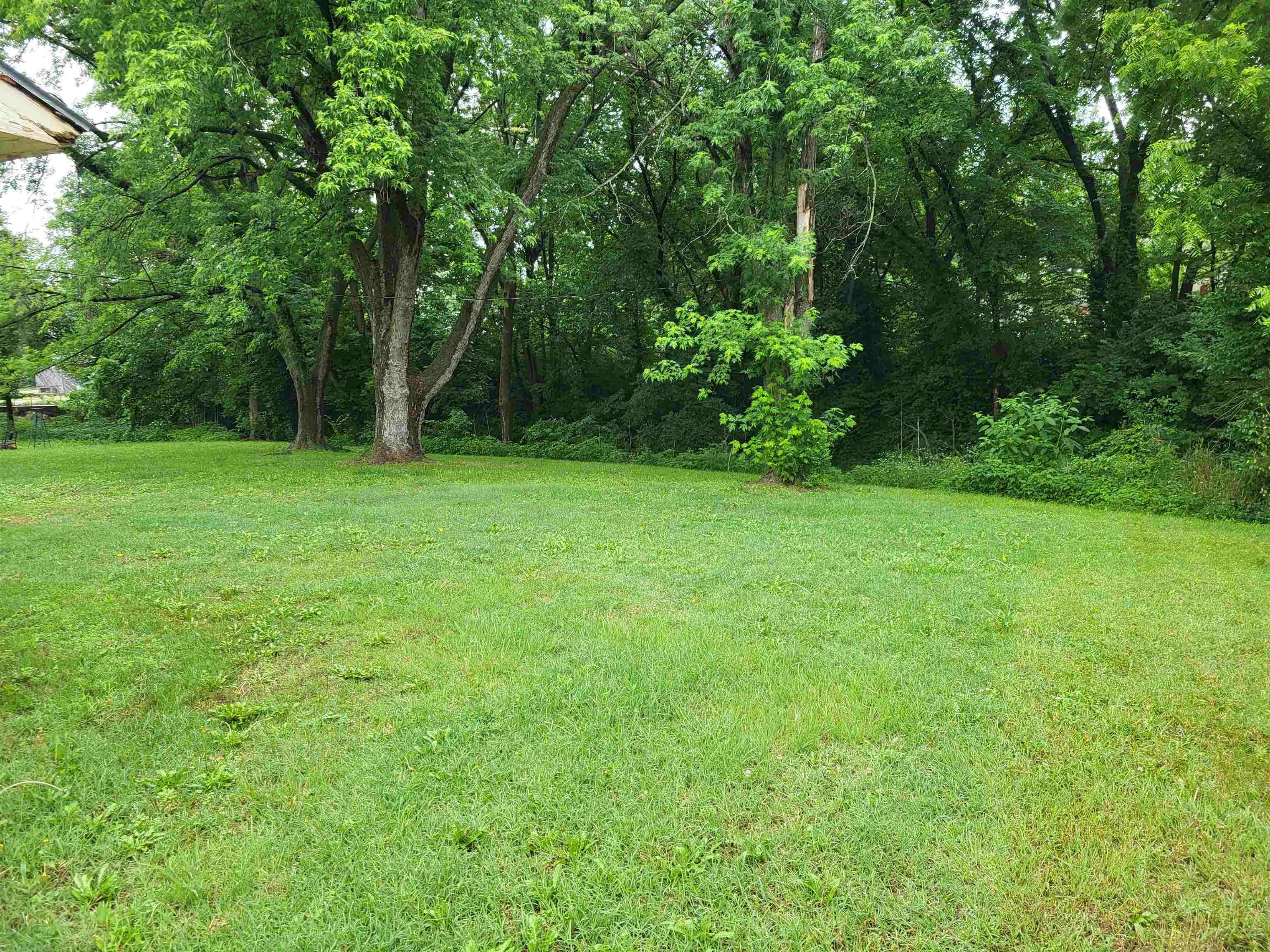 112 N Elm St Property Photo 14