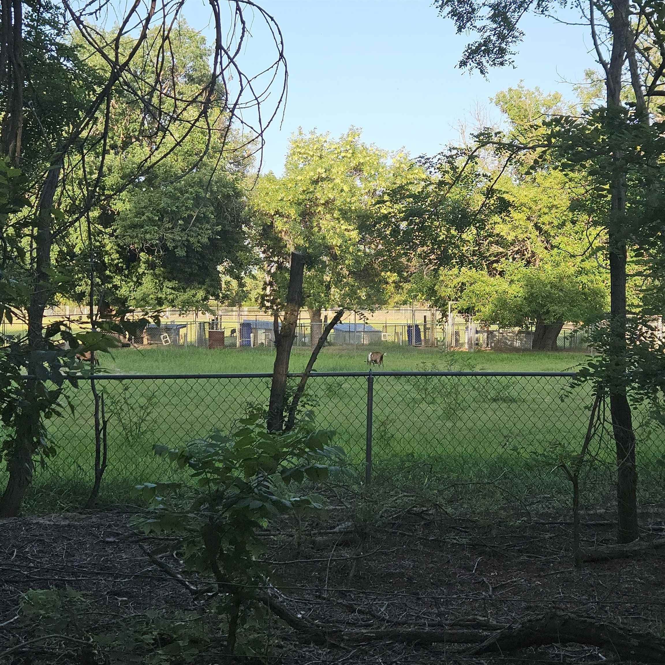 516 2225 Ln Property Photo 31