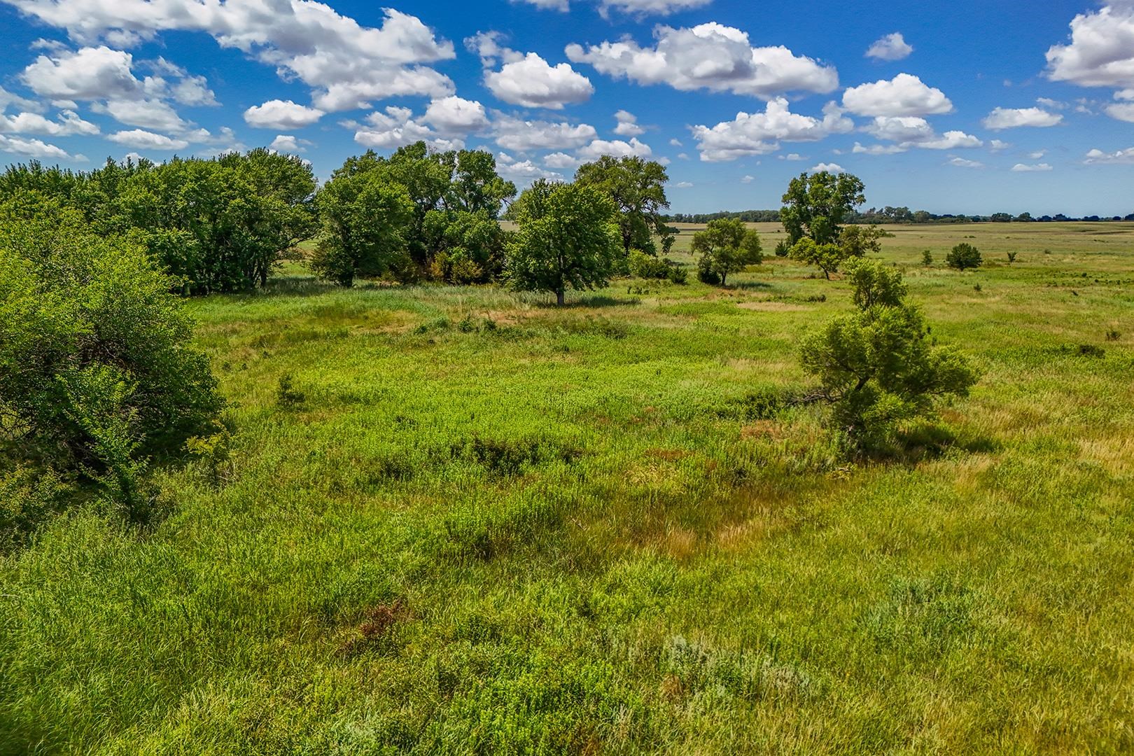 20+/- Acres N Berry Ave Property Photo 3