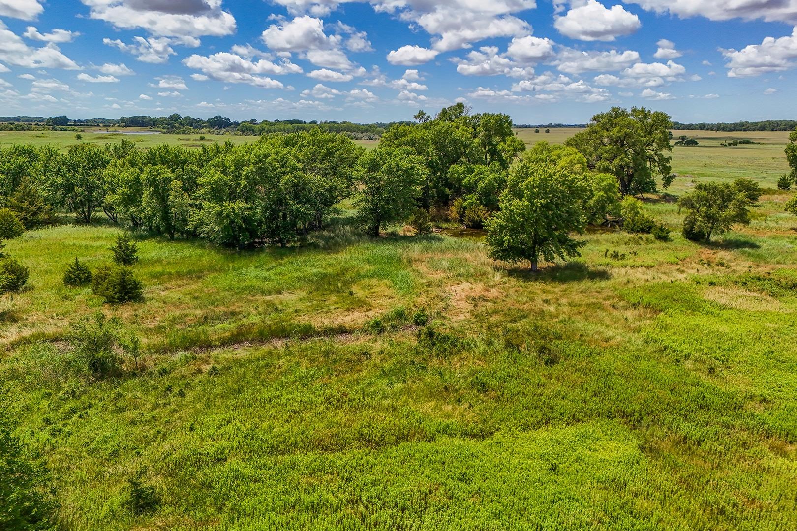 20+/- Acres N Berry Ave Property Photo 5