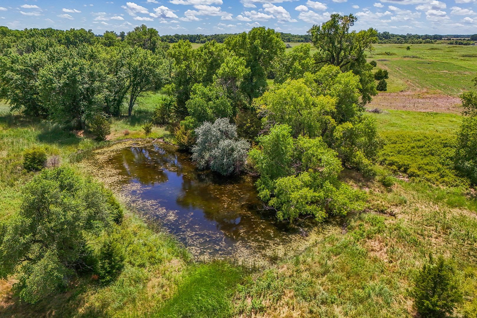 20+/- Acres N Berry Ave Property Photo 7