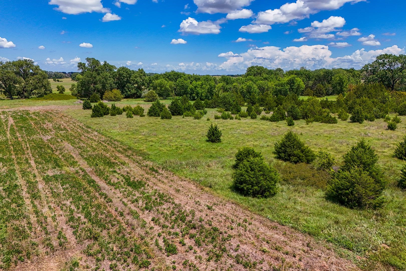 20+/- Acres N Berry Ave Property Photo 10
