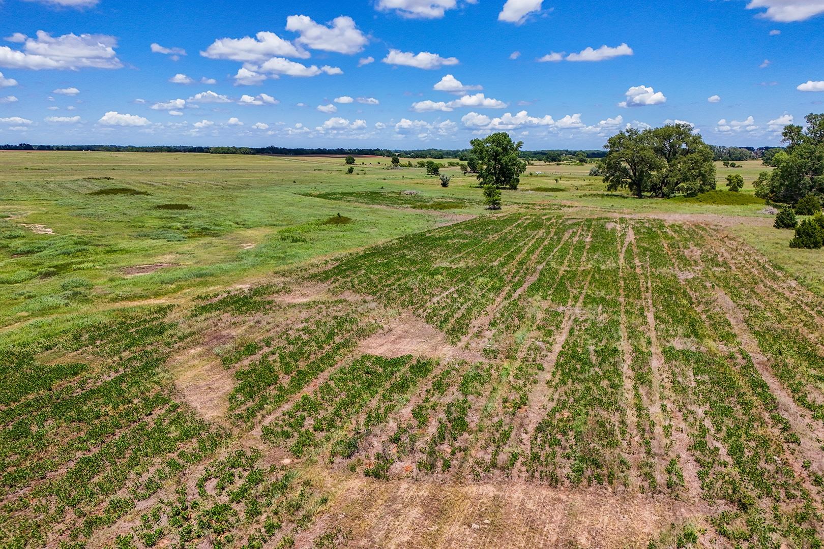 20+/- Acres N Berry Ave Property Photo 11