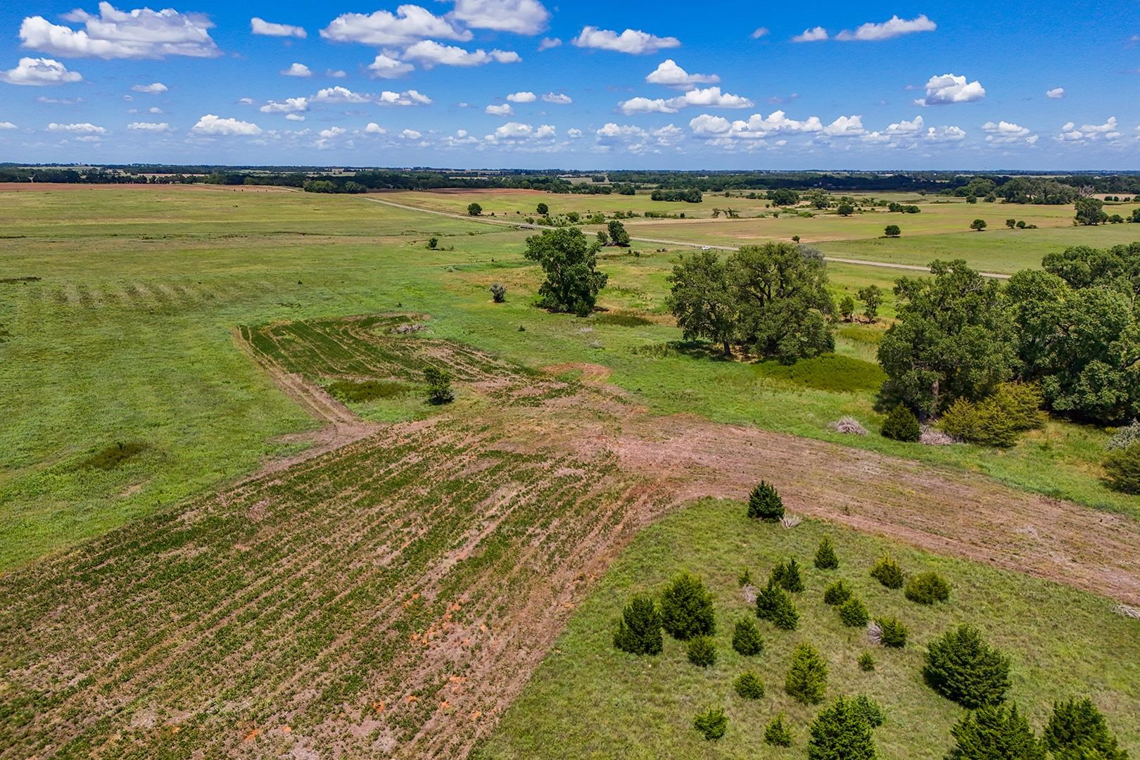 20+/- Acres N Berry Ave Property Photo 13