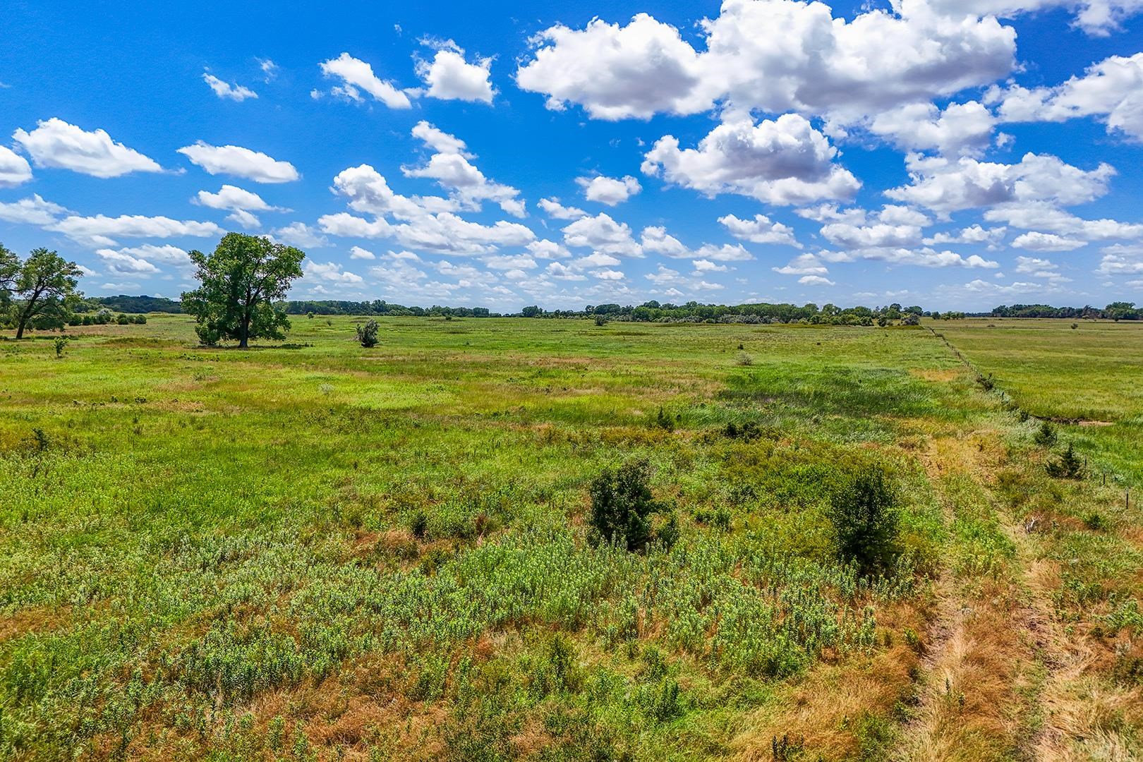 20+/- Acres N Berry Ave Property Photo 2