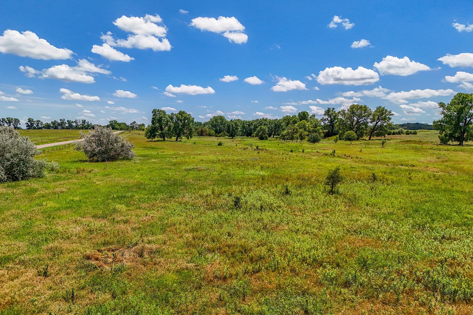 20+/- Acres N Berry Ave Property Photo 3