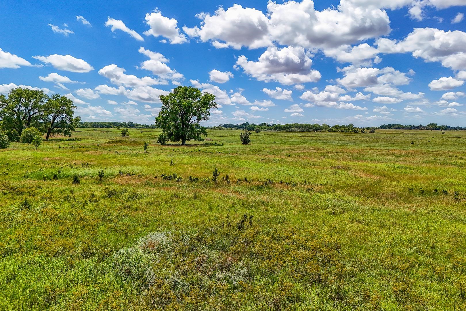 20+/- Acres N Berry Ave Property Photo 4