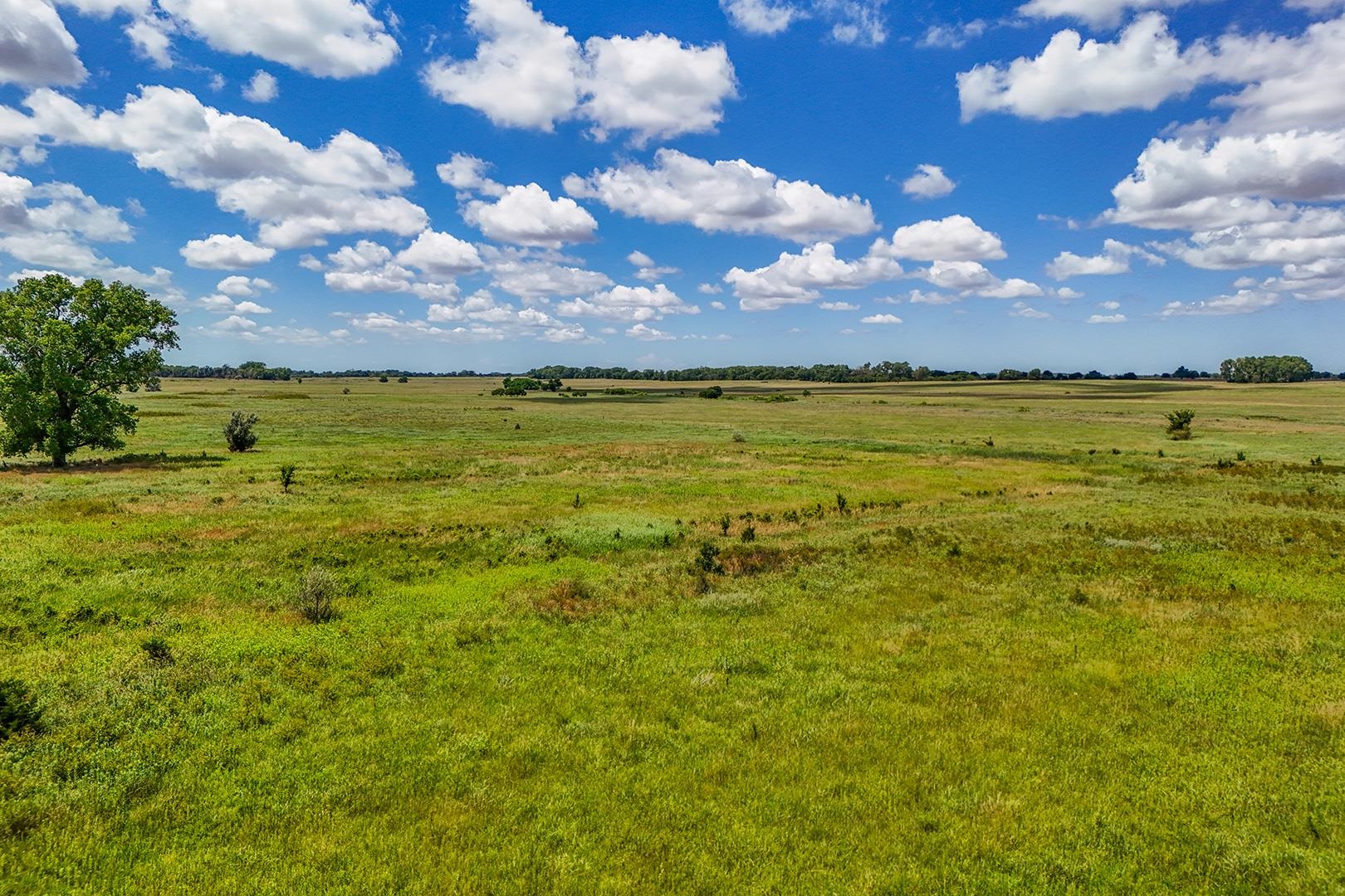 20+/- Acres N Berry Ave Property Photo 6