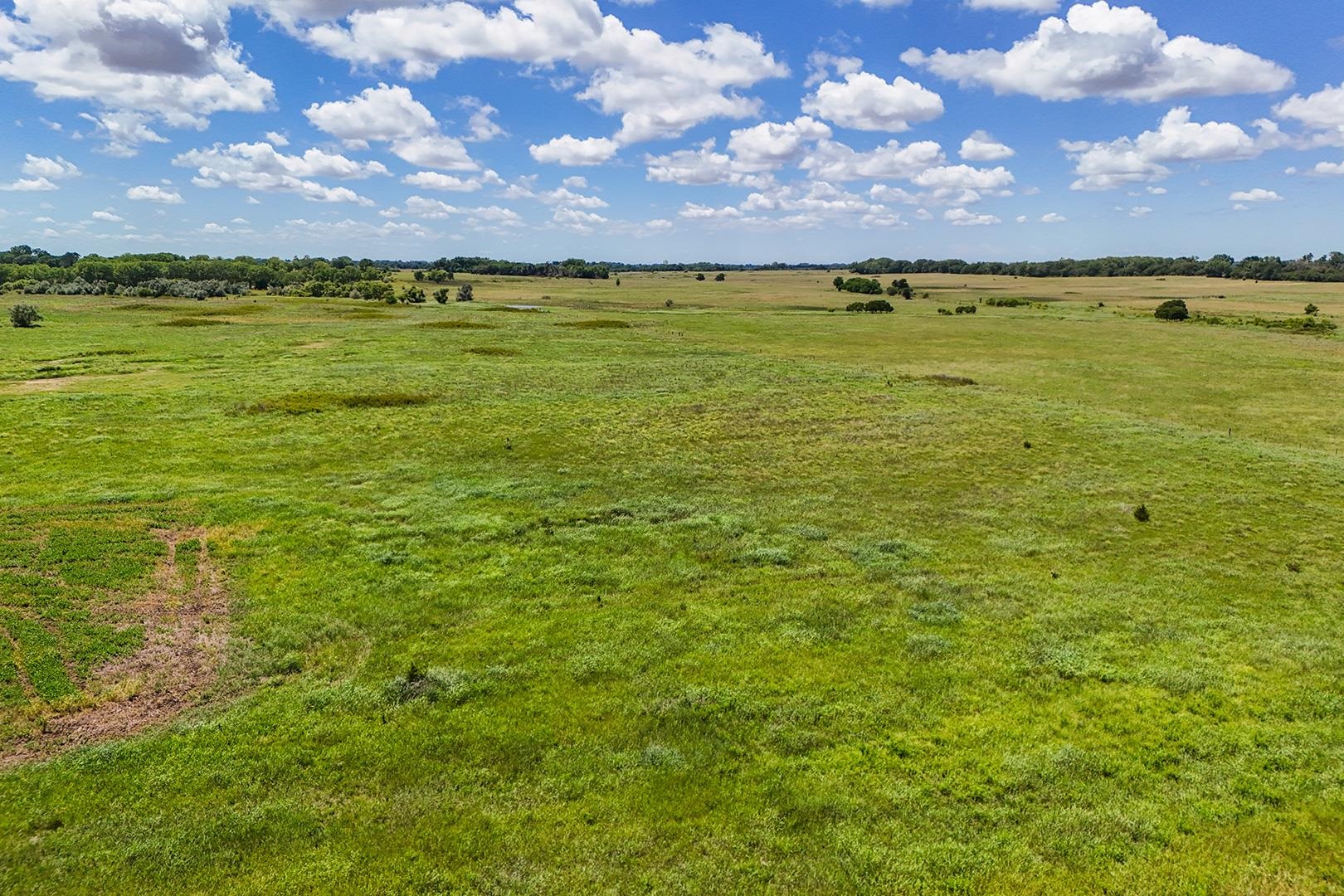 20+/- Acres N Berry Ave Property Photo 8